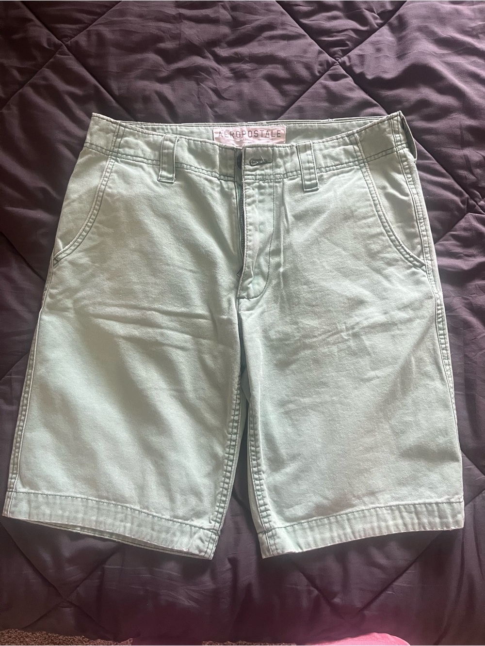 Aeropostale Men's Mint Green Flat Front Shorts